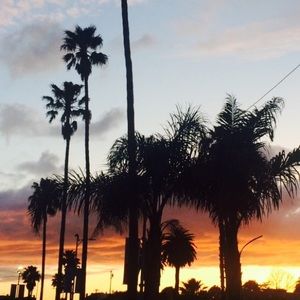 Meet your Posher, Alondra